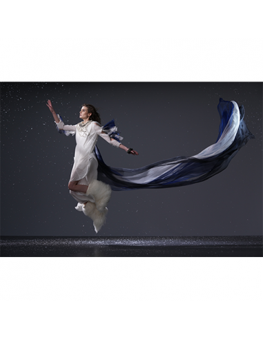 BOITIER SONY ALPHA 1