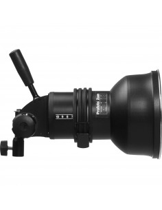 TORCHE PROFOTO PROHEAD PLUS 250W (avec réfl. Std. Zoom) - 900752