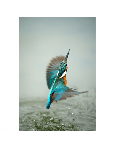 ZOOM SONY 70-200/2.8 G Master OSS II SEL FE