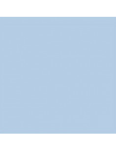 GELATINE LEE FILTER 55x122 cm Correcteur FULL CTB - 201