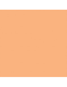 GELATINE LEE FILTER 55x122 cm Correcteur FULL CTO- 204