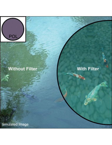 FILTRE NIKON POLAR C/62MM