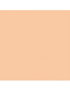 GELATINE LEE FILTER 55x122 cm Correcteur 1/2 CTO- 205