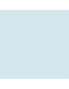 GELATINE LEE FILTER 55x122 cm Correcteur 1/2 CTB- 202