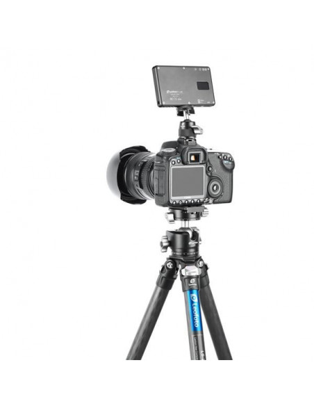 ROTULE BALL LEOFOTO GRIFF FLASH F-19