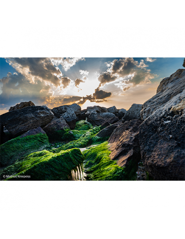 ZOOM SONY 24-70/2.8 G Master II SEL FE