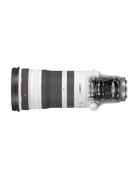 Télézoom Canon RF 100-300mm F2.8L IS USM
