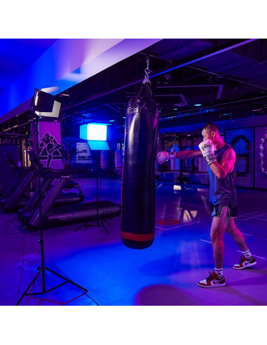 PANNEAU LED GODOX LDX50BI