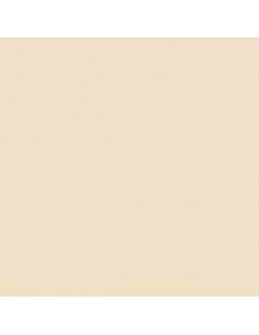 GELATINE LEE FILTER 55x122 cm 223 1/8 CTO