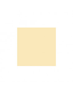 GELATINE LEE FILTER 55x122 cm 206 1/4 CTO