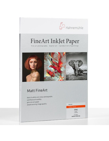 PAPIER HAHNEMUHLE WILLIAM TURNER 310GRS A3 25F