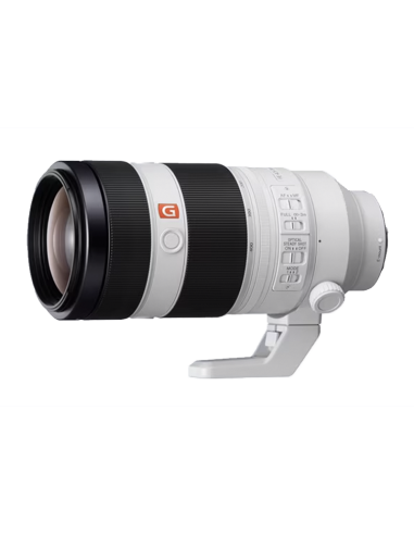 ZOOM SONY 100-400/4.5-5.6 G Master OSS SEL FE