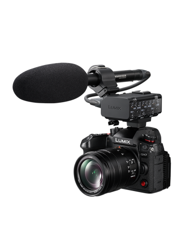 Module XLR Panasonic DMW-XLR2E pour GH7