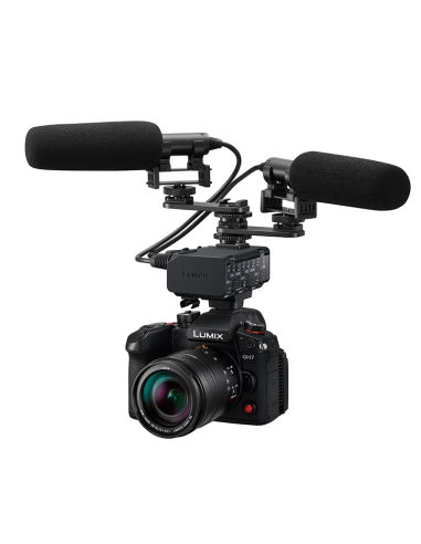 Module XLR Panasonic DMW-XLR2E pour GH7