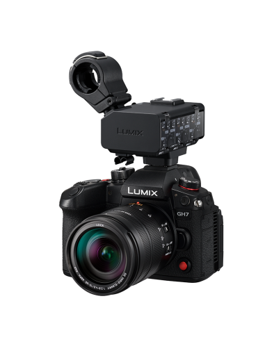 Module XLR Panasonic DMW-XLR2E pour GH7