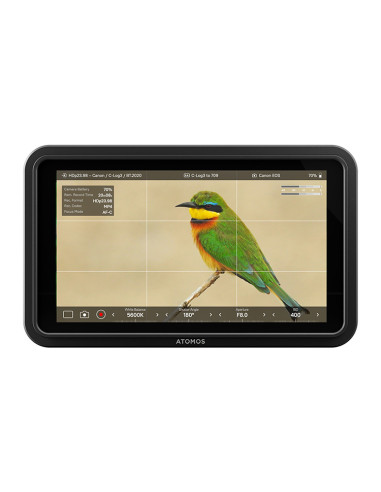 MONITEUR ATOMOS SHINOBI II
