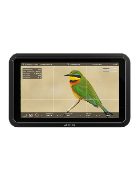 MONITEUR ATOMOS SHINOBI II