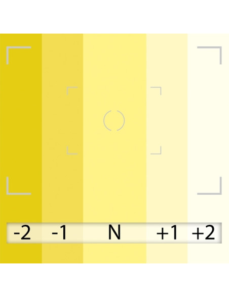FOND BD LIGHT YELLOW 1,35m x 11m