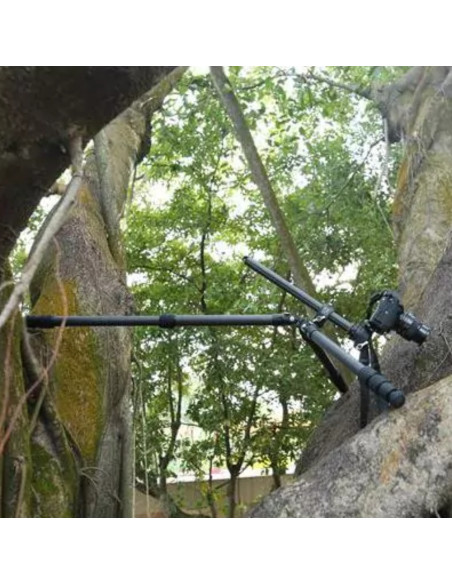 TREPIED LEOFOTO RANGER LS-284 CVL EXPLORER