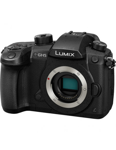 BOITIER PANASONIC GH5 NU