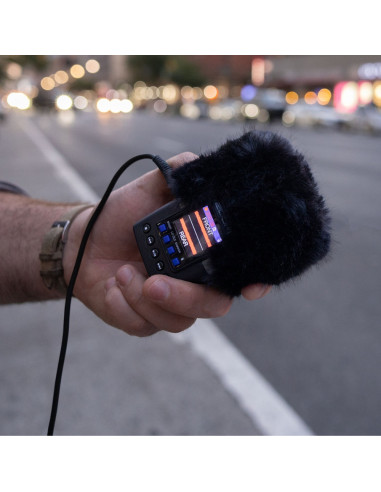 ENREGISTREUR ZOOM PORTABLE H2e