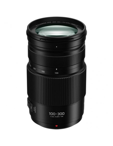 ZOOM PANASONIC 100-300 F4.0-5.6 OIS II