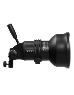 TORCHE PROFOTO PROHEAD PLUS 500W (avec réfl Std Zoom) - 900753