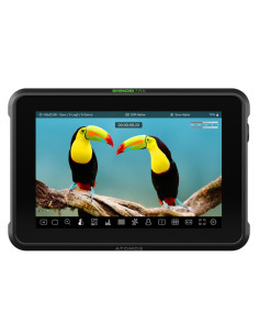 MONITEUR ATOMOS SHINOBI 7 RX