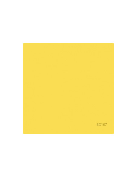 Fond BD DAF-FO-DIL 2,72x11m