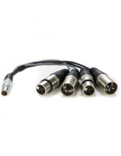 CABLE ATOMOS LEMO/XLR  POUR SHOGUN ATOMCAD016