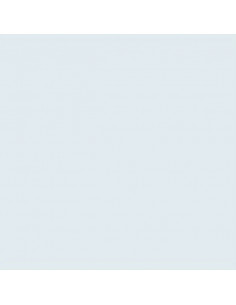 GELATINE LEE FILTER 55x122 cm Correcteur 1/4 CTB- 203