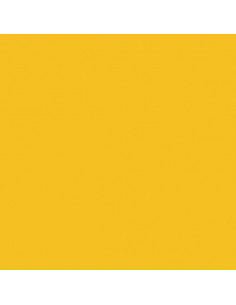 GELATINE LEE FILTER 55x122 cm 015 DEEP STRAW