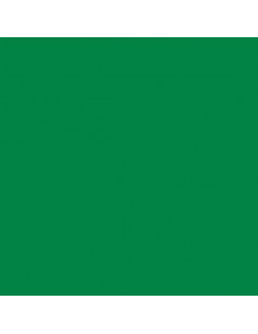 GELATINE LEE FILTER 55x122 cm 090 DARK YELLOW GREEN