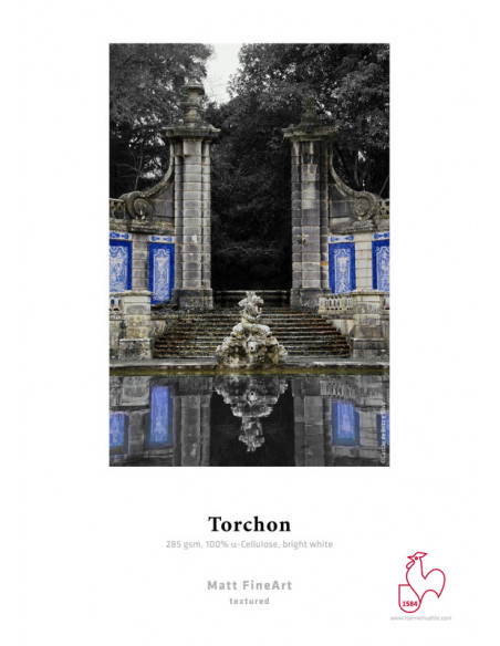 PAPIER HAHNEMUHLE TORCHON 285GRS A4  25F