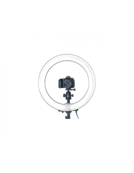 RING LIGHT DORR SL-480  65W - 3200-5500°K