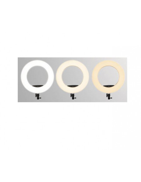 RING LIGHT DORR SL-480  65W - 3200-5500°K