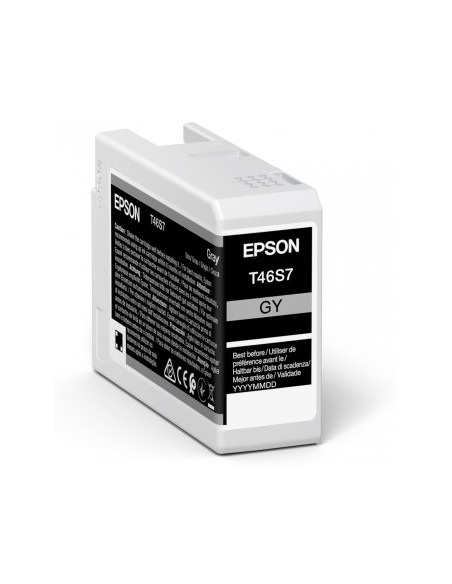 CARTOUCHE EPSON P700 gray T46S7