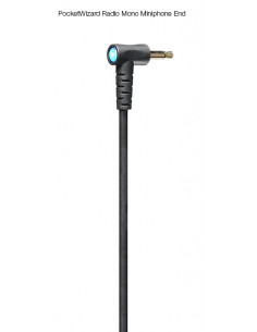 CABLE POCKETWIZARD MP1 30CM( male J3.5 mm vers male J 6.35 mm)POCK651