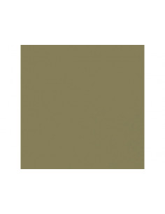 Fond BD CACTUS  2.72x11m